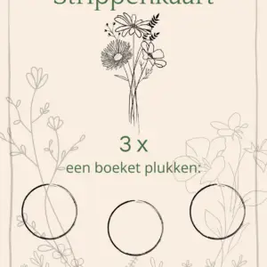 Strippenkaart 3 x plukken